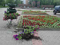 В Твери продолжаются работы по озеленению и благоустройству общественных зон 